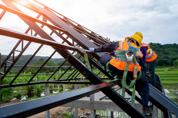 Best Roof Maintenance Services  in Little River Academy, TX